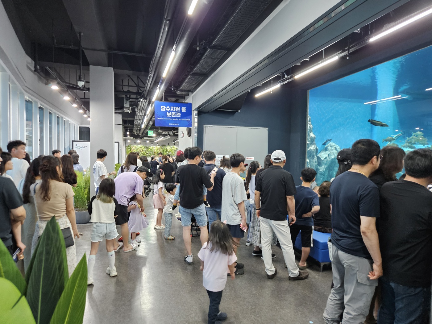 60,000 Visitors to Chungbuk Aquarium Only One Month After Opening image