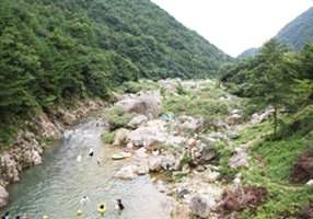 Rừng nghỉ dưỡng tự nhiên Jangryeongsan